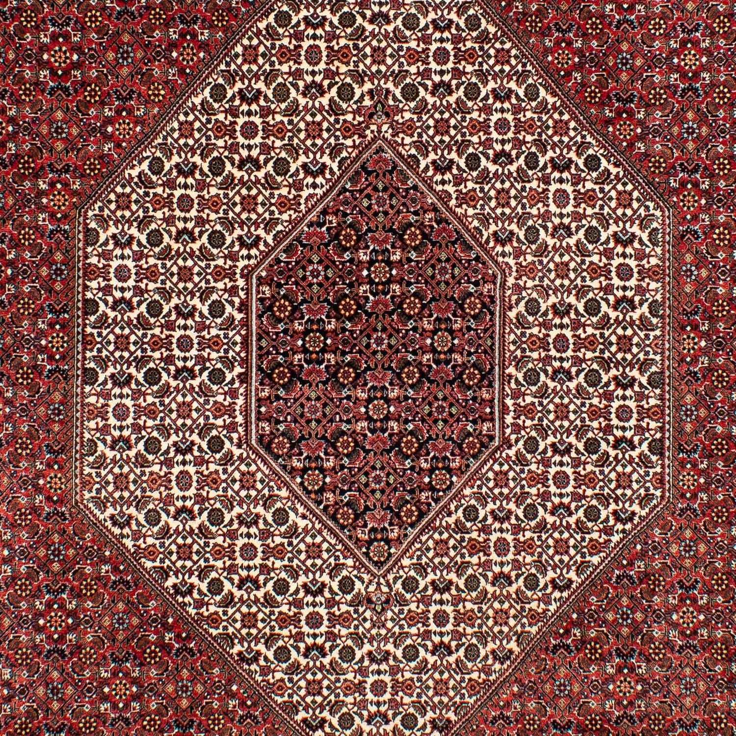 Perserteppich - Bidjar 317 x 201 cm