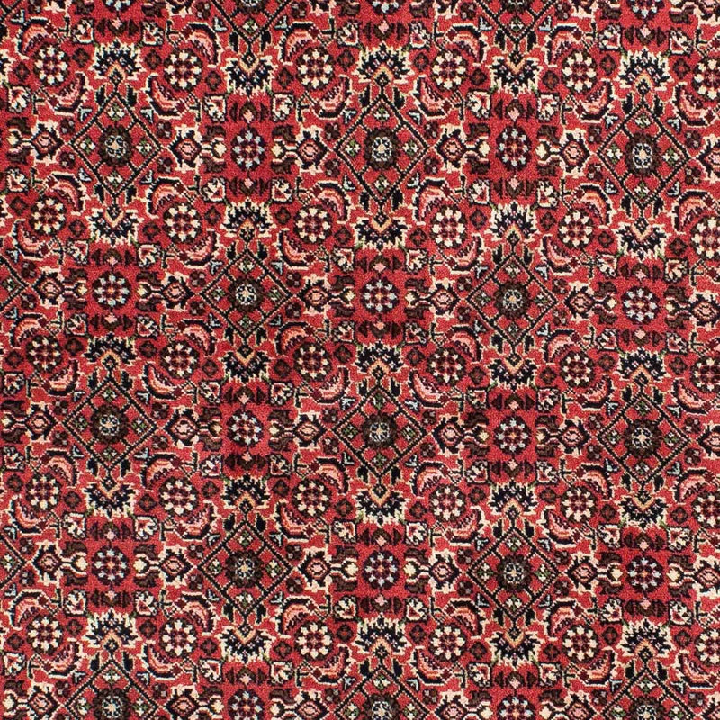 Perserteppich - Bidjar 208 x 139 cm