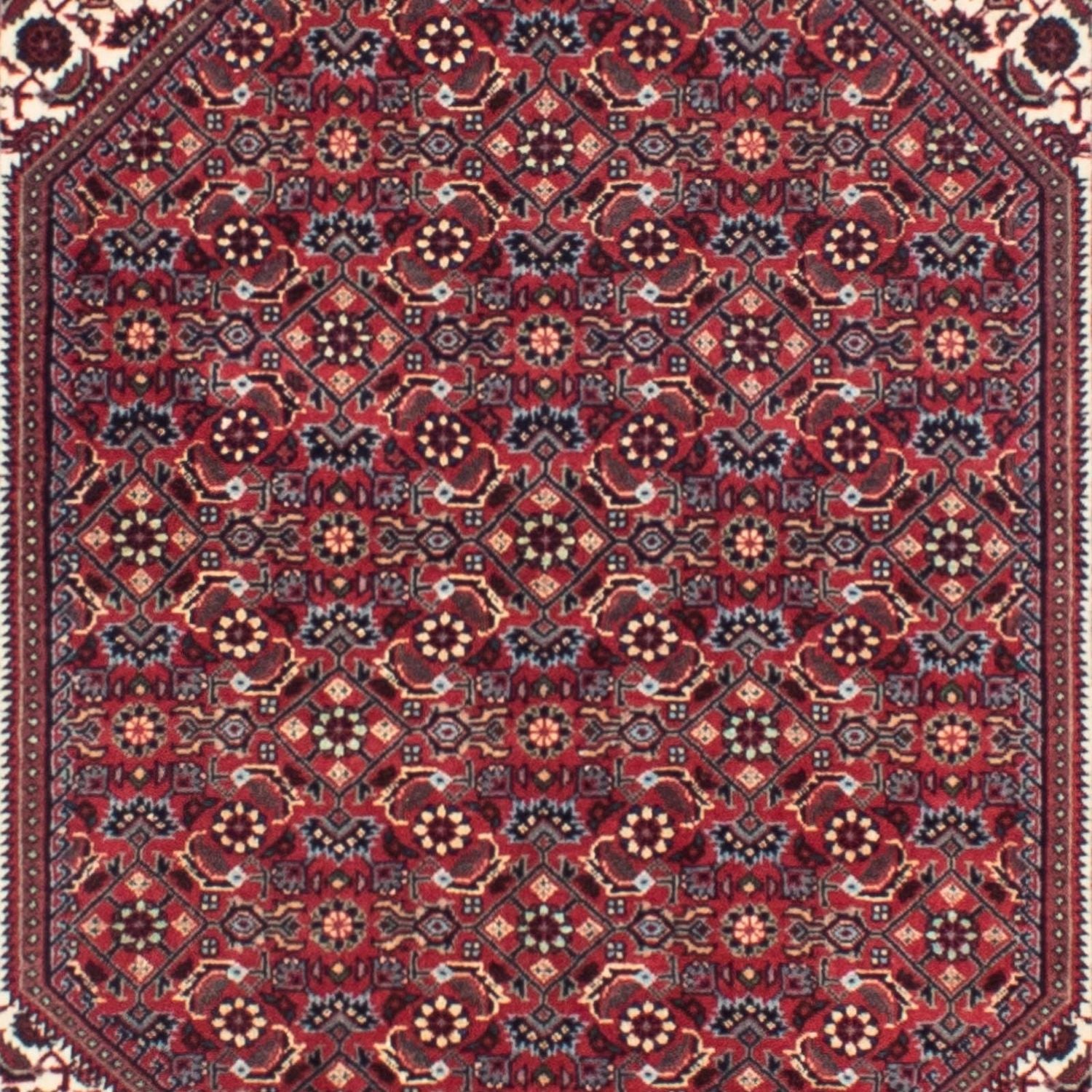 Perserteppich - Bidjar - Royal 313 x 83 cm