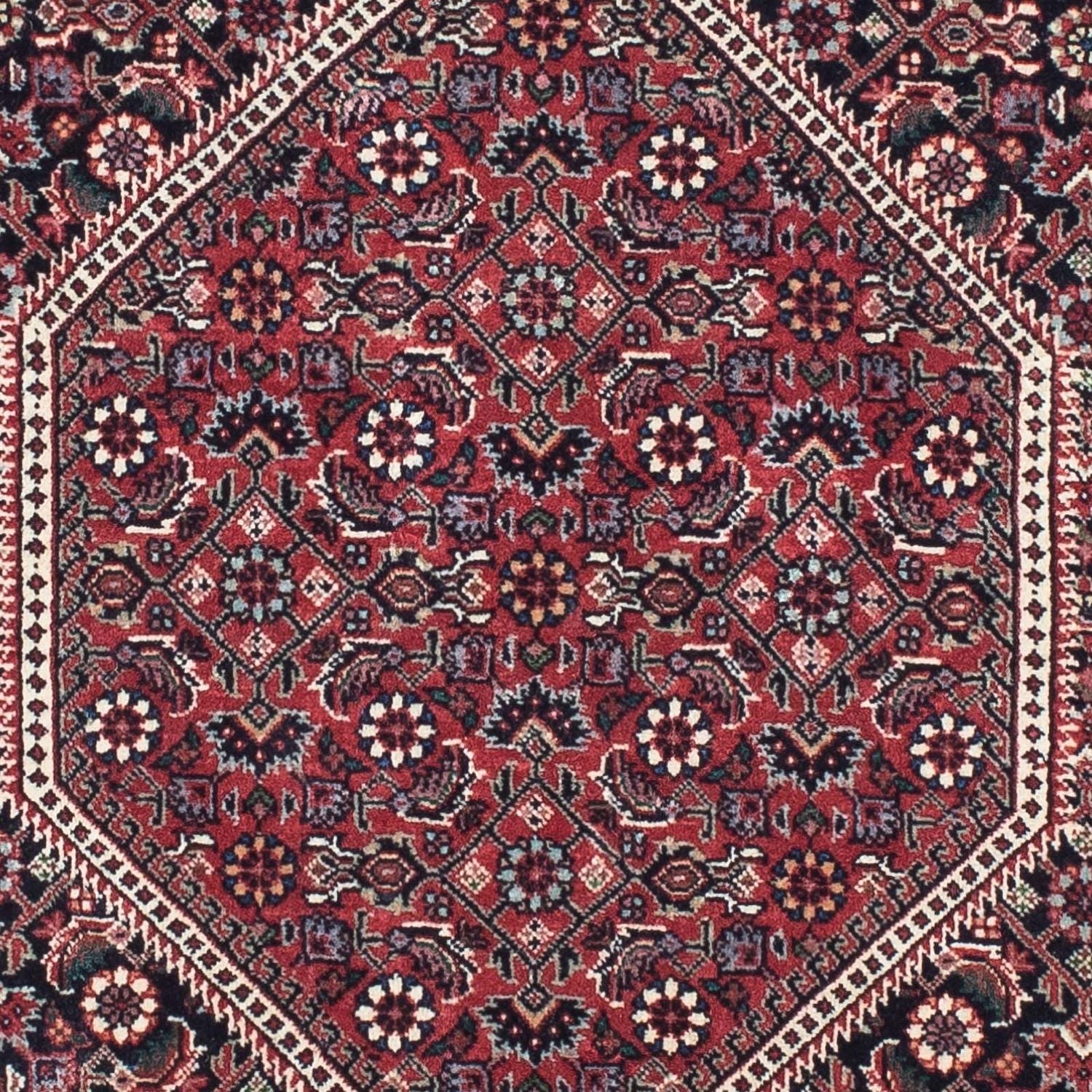 Perserteppich - Bidjar - Royal 207 x 74 cm