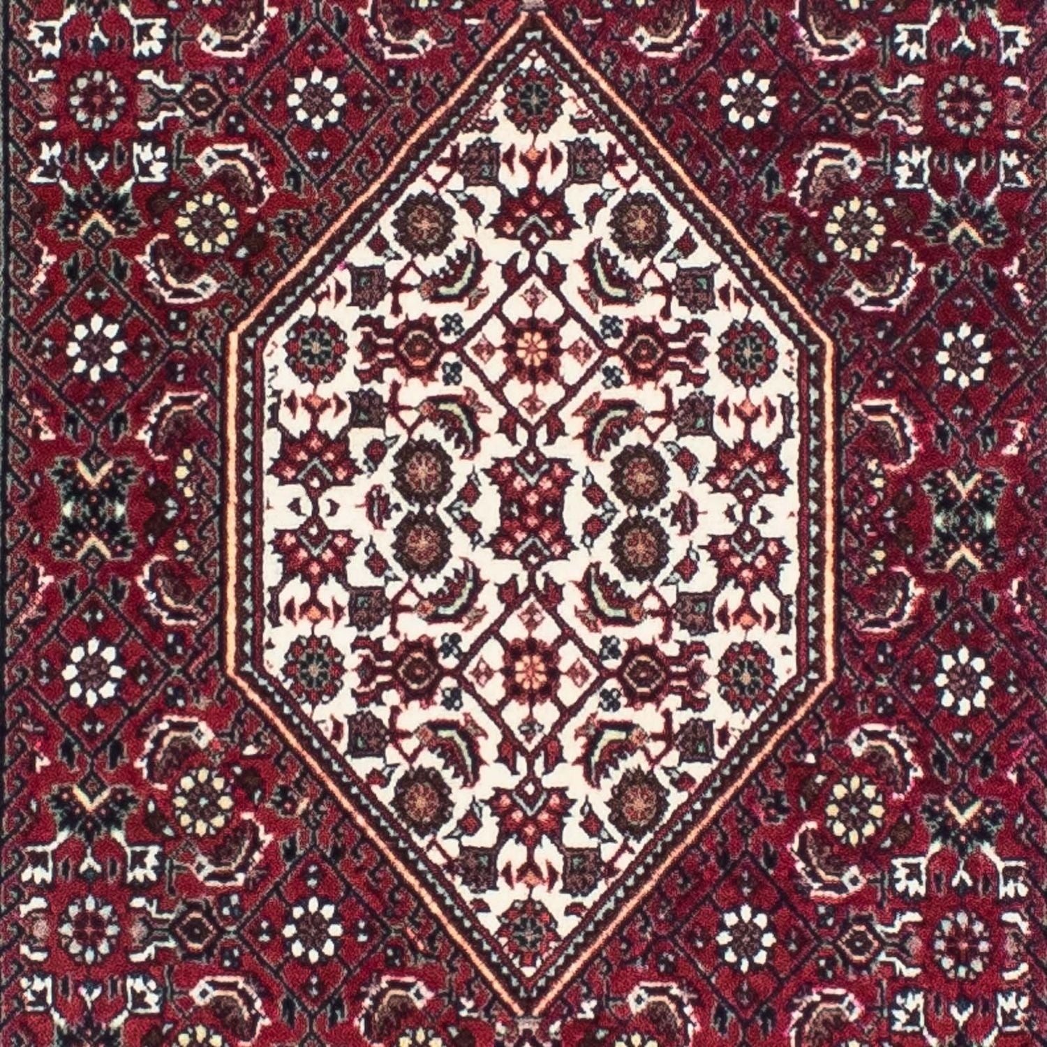 Perserteppich - Bidjar - Royal 248 x 73 cm