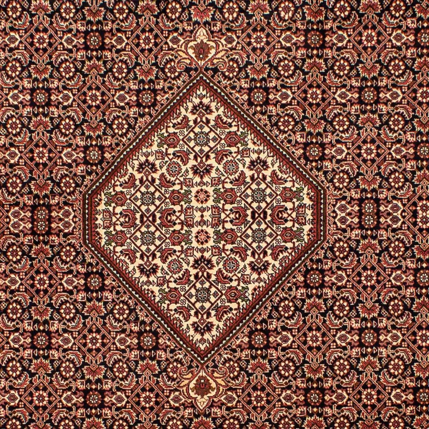 Perserteppich - Bidjar 296 x 198 cm - braun