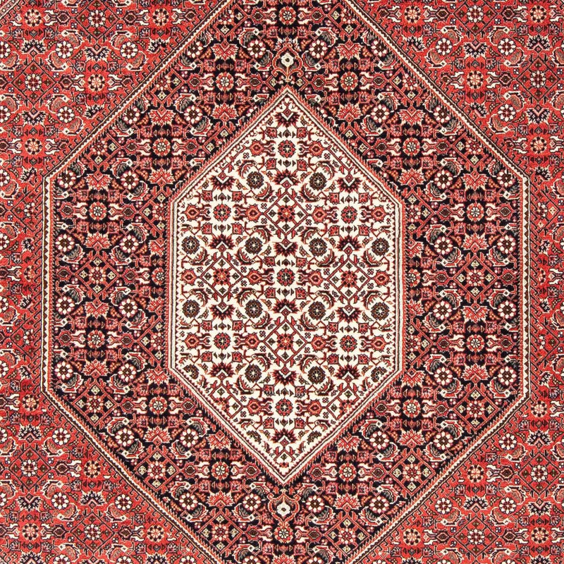 Perserteppich - Bidjar 251 x 170 cm