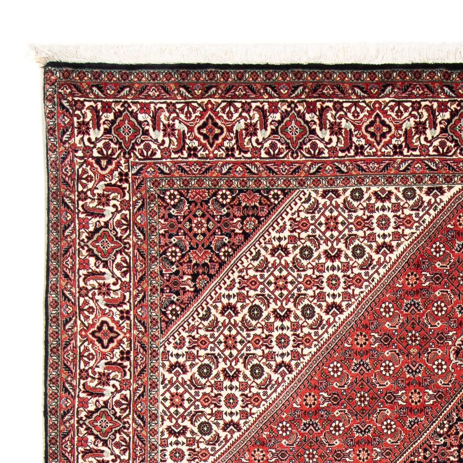 Perserteppich - Bidjar 251 x 170 cm
