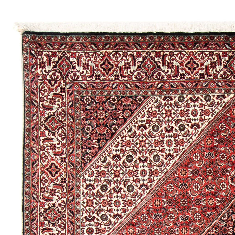 Perserteppich - Bidjar 251 x 170 cm