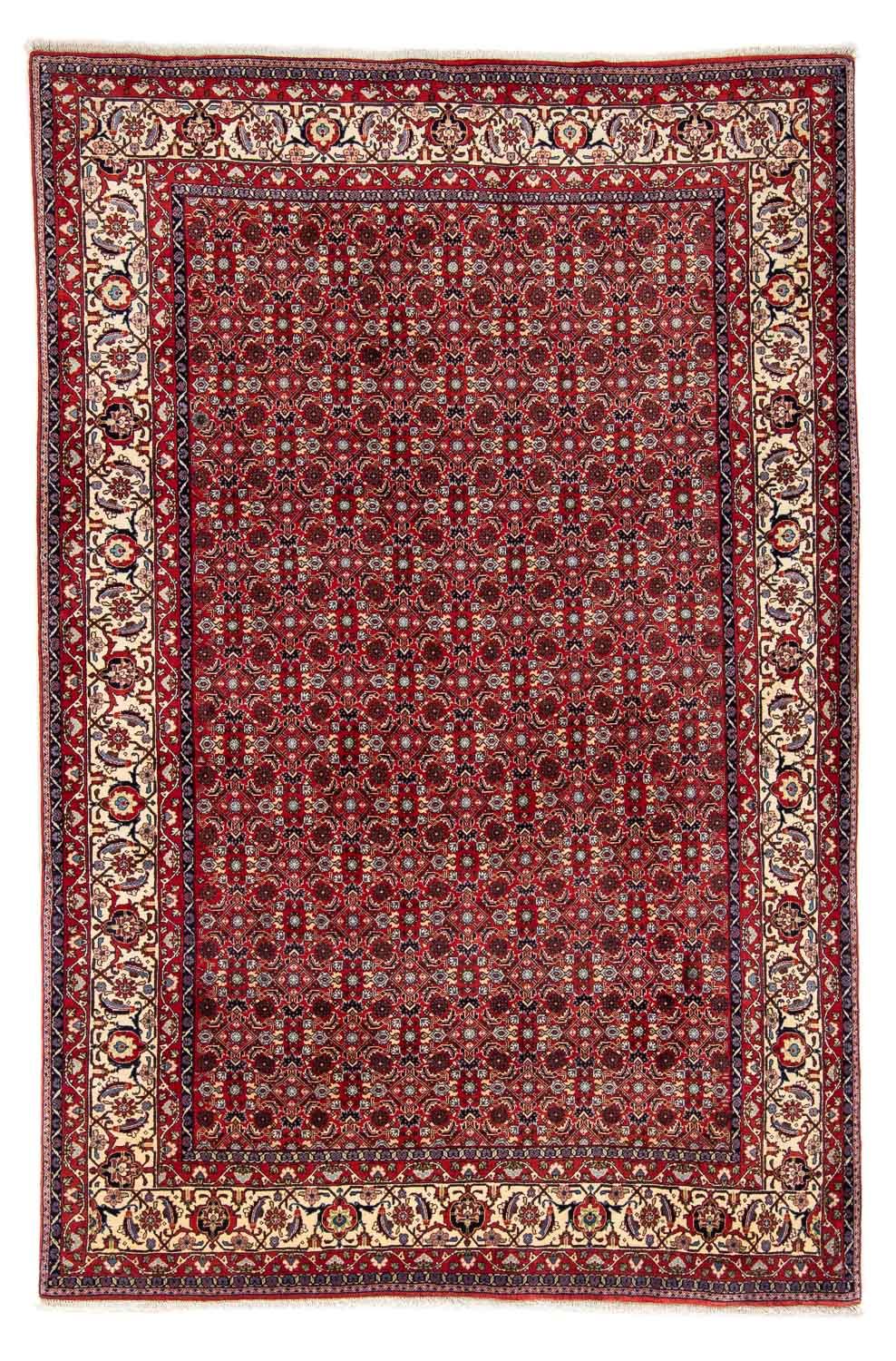 Perserteppich - Bidjar 251 x 175 cm