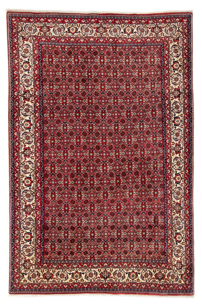 Perserteppich - Bidjar 251 x 175 cm