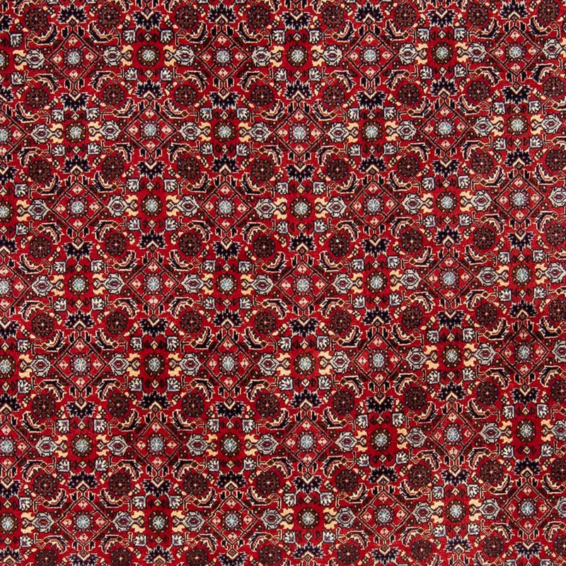 Perserteppich - Bidjar 251 x 175 cm
