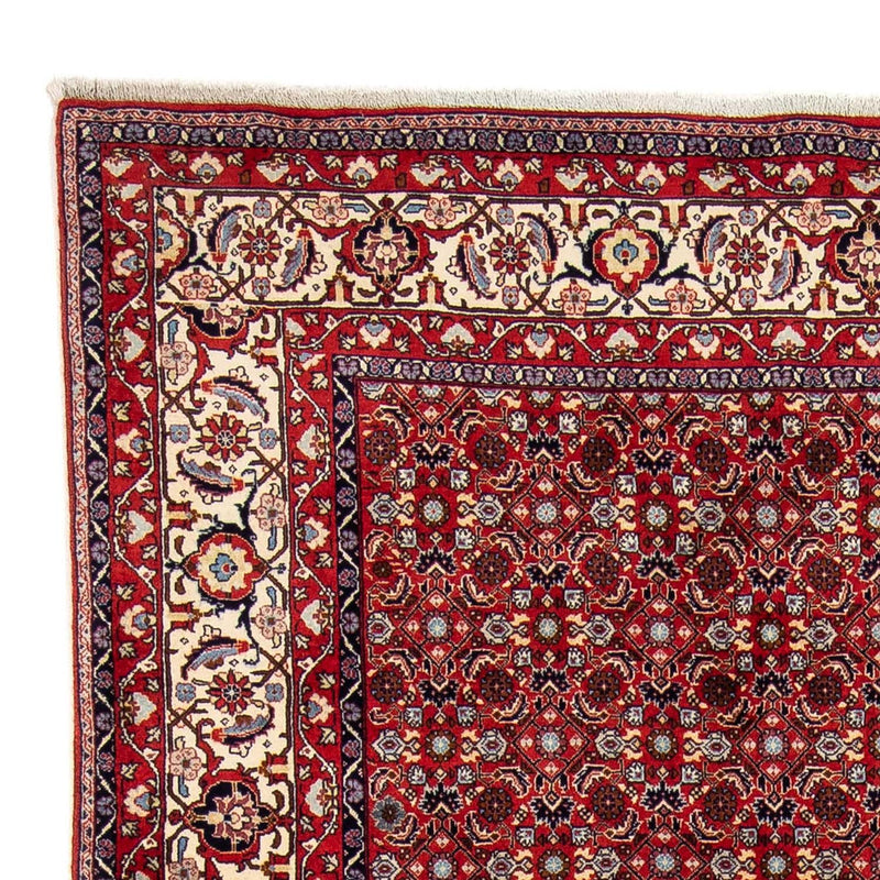Perserteppich - Bidjar 251 x 175 cm