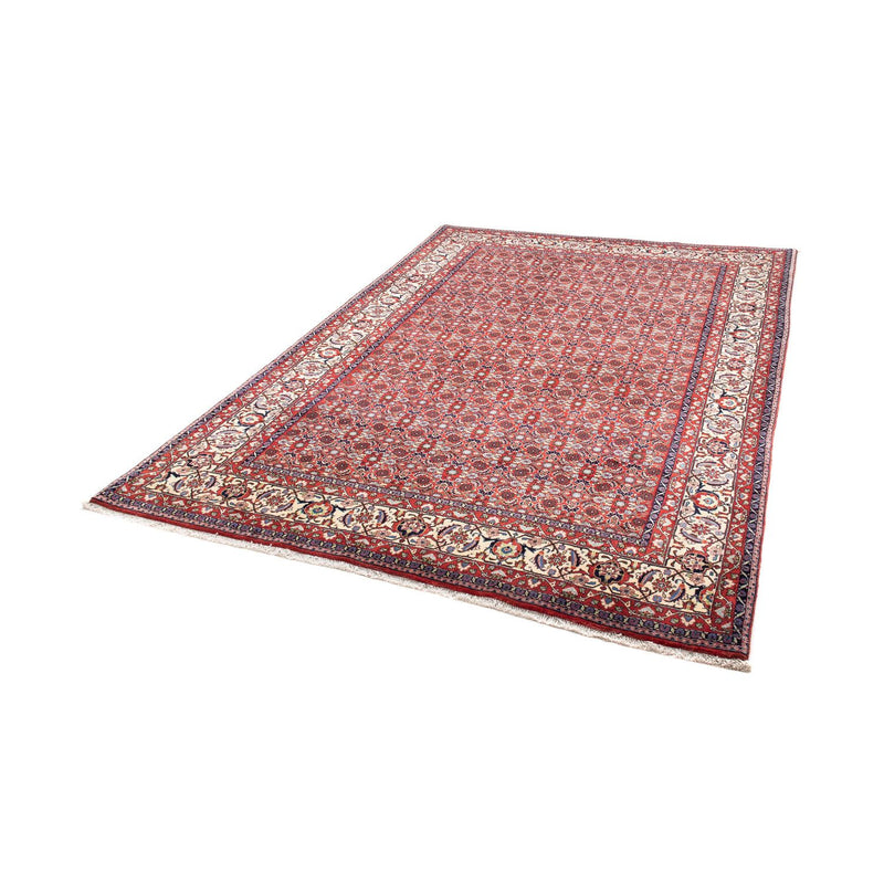 Perserteppich - Bidjar 251 x 175 cm