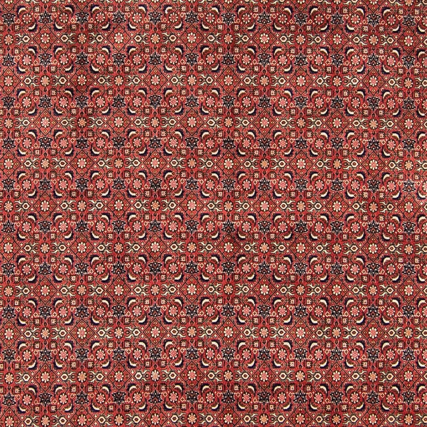 Perserteppich - Bidjar 316 x 252 cm