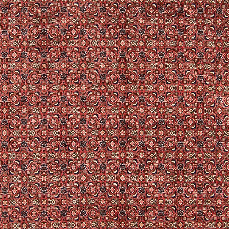 Perserteppich - Bidjar 316 x 252 cm