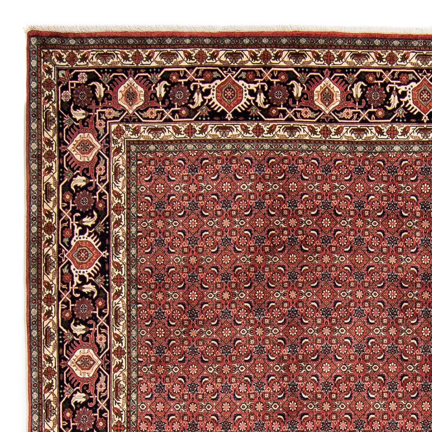 Perserteppich - Bidjar 316 x 252 cm