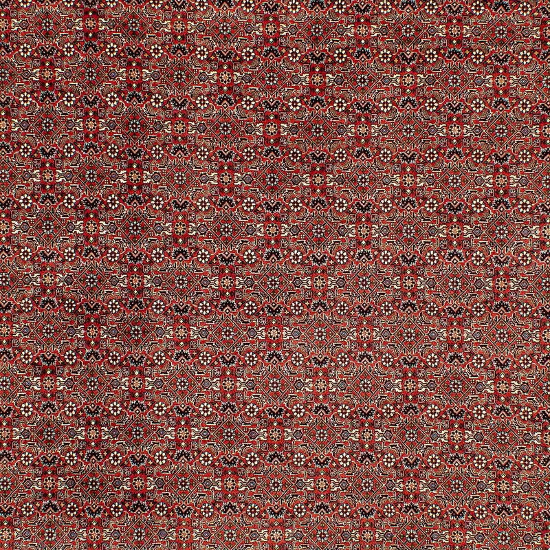 Perserteppich - Bidjar 300 x 206 cm