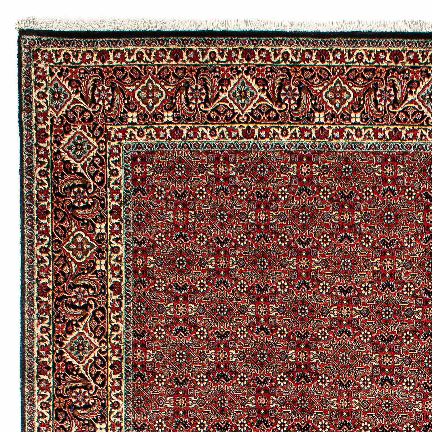 Perserteppich - Bidjar 300 x 206 cm