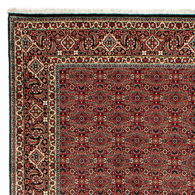 Perserteppich - Bidjar 300 x 206 cm