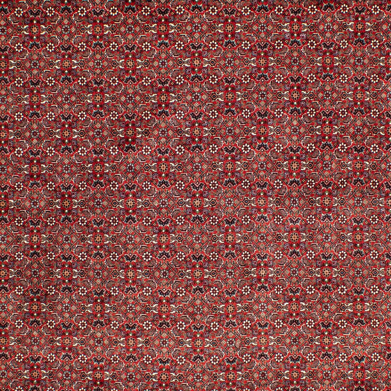 Perserteppich - Bidjar 302 x 210 cm