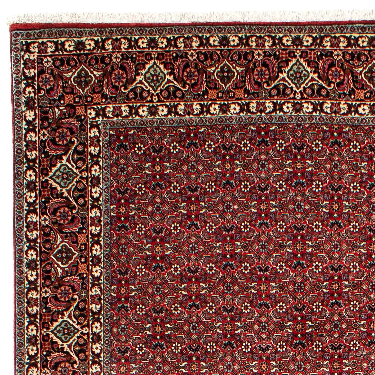 Perserteppich - Bidjar 302 x 210 cm
