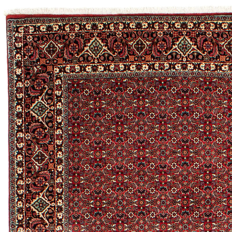 Perserteppich - Bidjar 302 x 210 cm