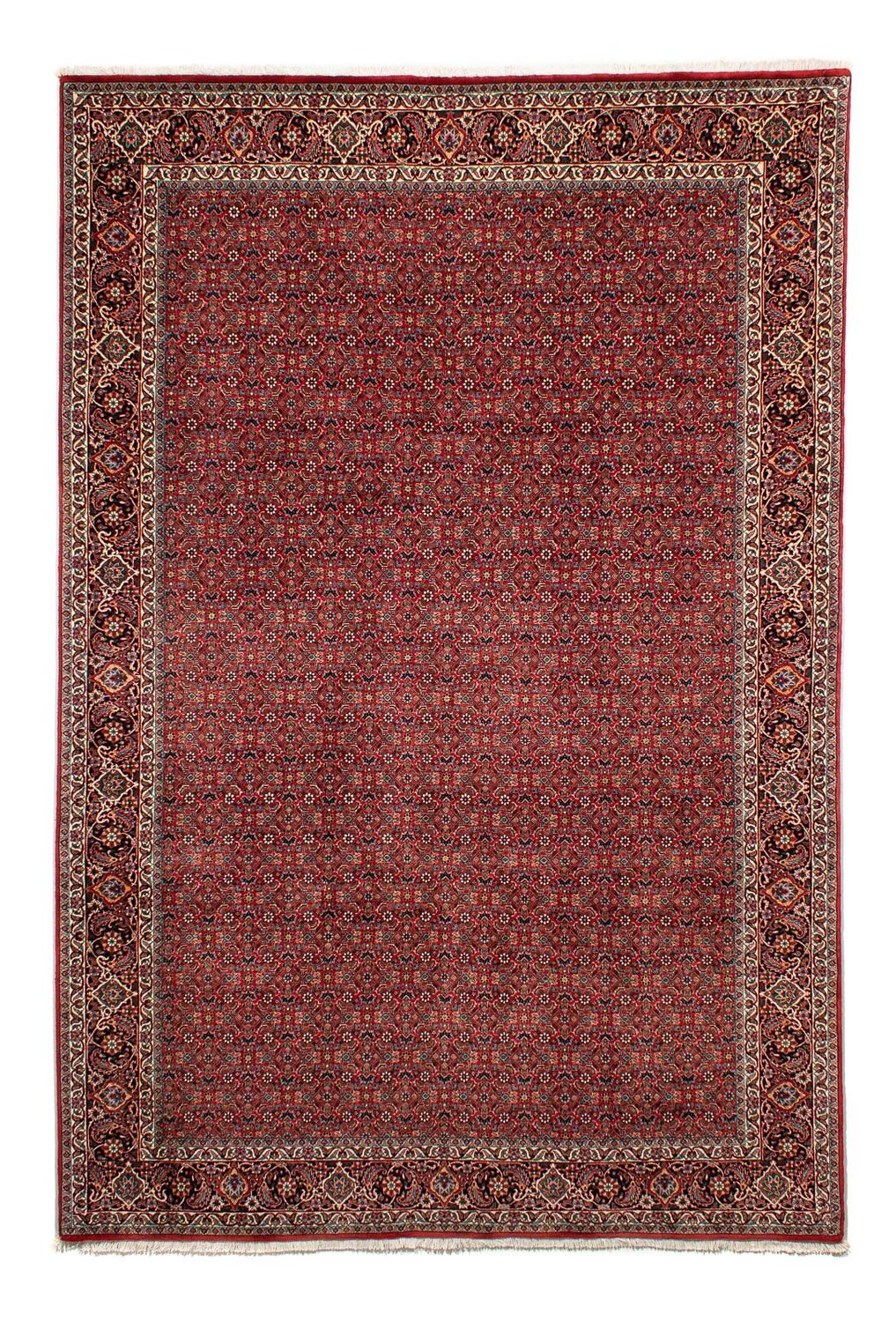 Perserteppich - Bidjar 298 x 205 cm