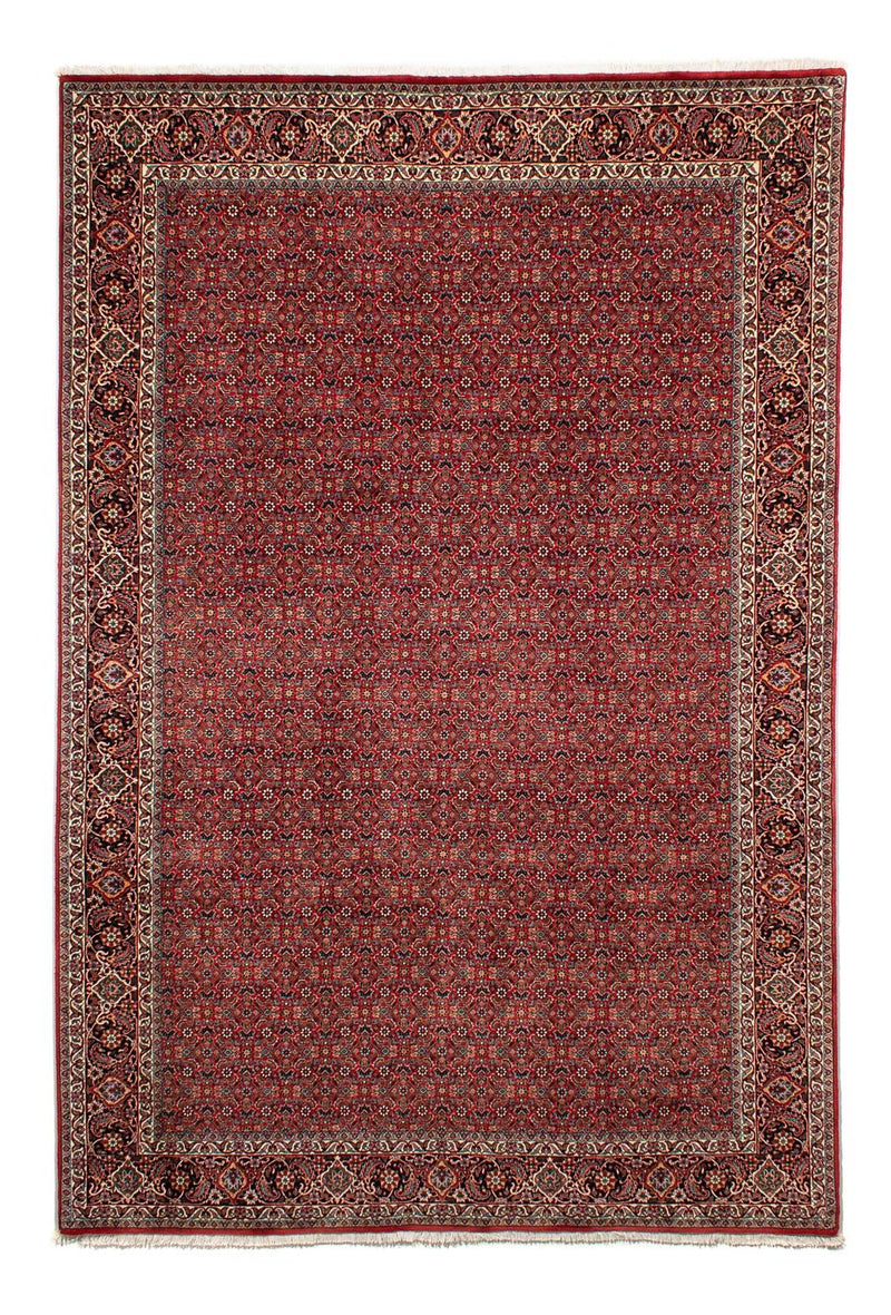 Perserteppich - Bidjar 298 x 205 cm