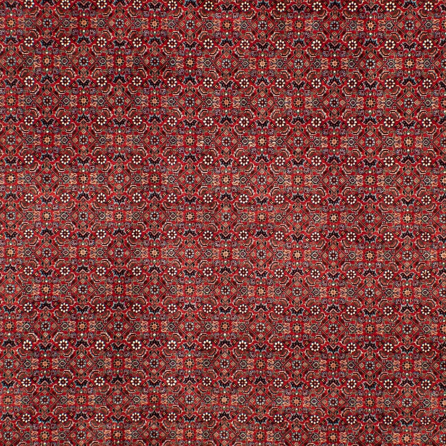 Perserteppich - Bidjar 298 x 205 cm