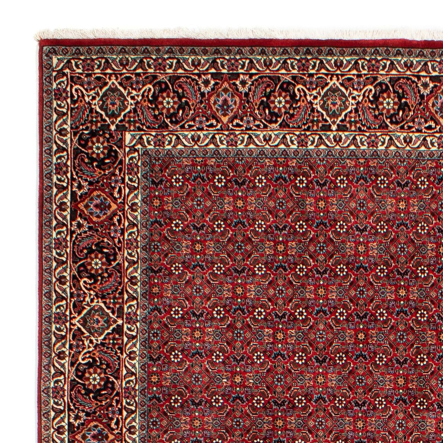 Perserteppich - Bidjar 298 x 205 cm