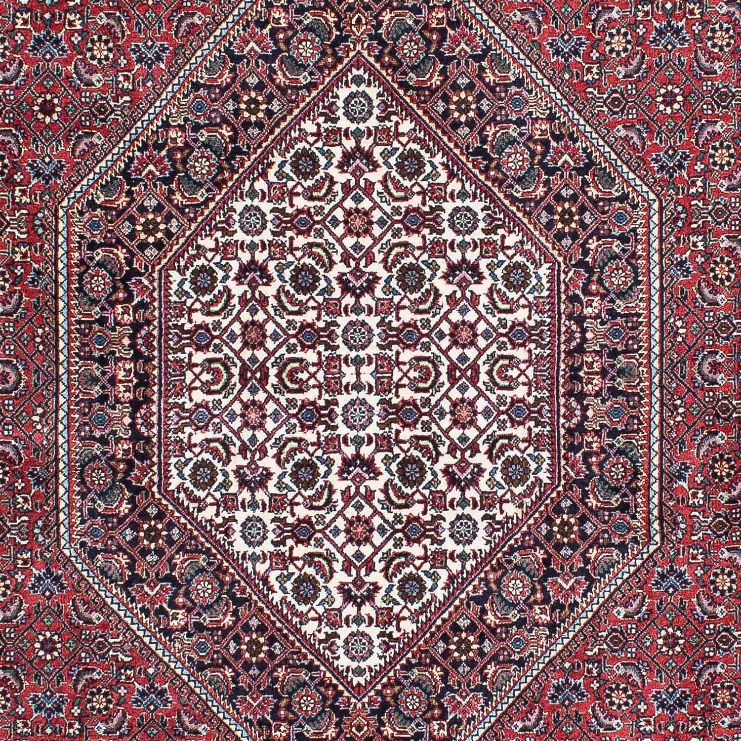 Perserteppich - Bidjar - Royal 225 x 128 cm Teppich Läufer