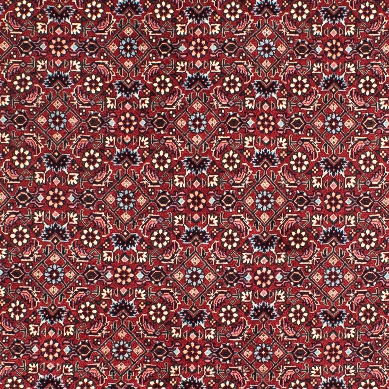 Perserteppich - Bidjar 155 x 155 cm - dunkelrot