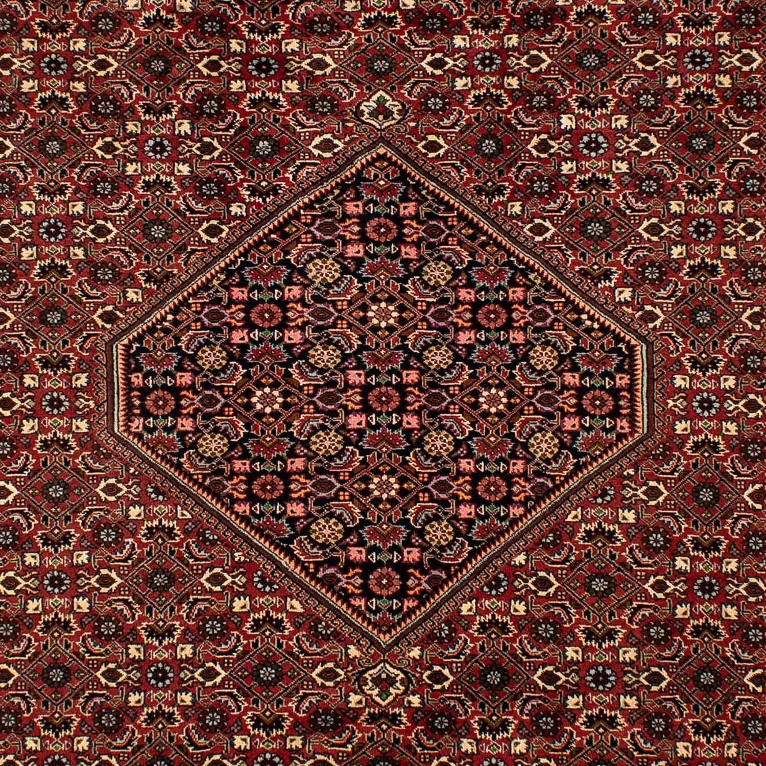 Perserteppich - Bidjar 297 x 202 cm
