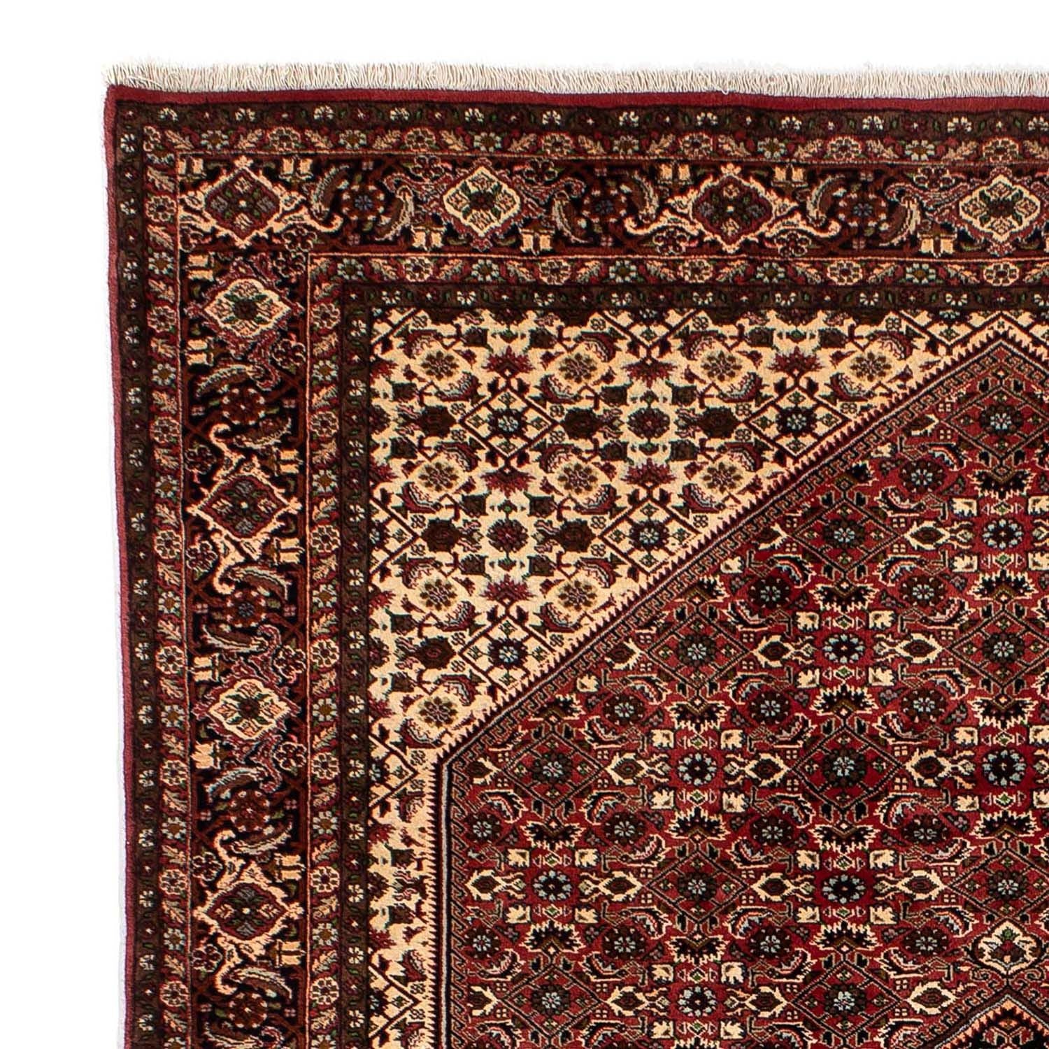 Perserteppich - Bidjar 297 x 202 cm