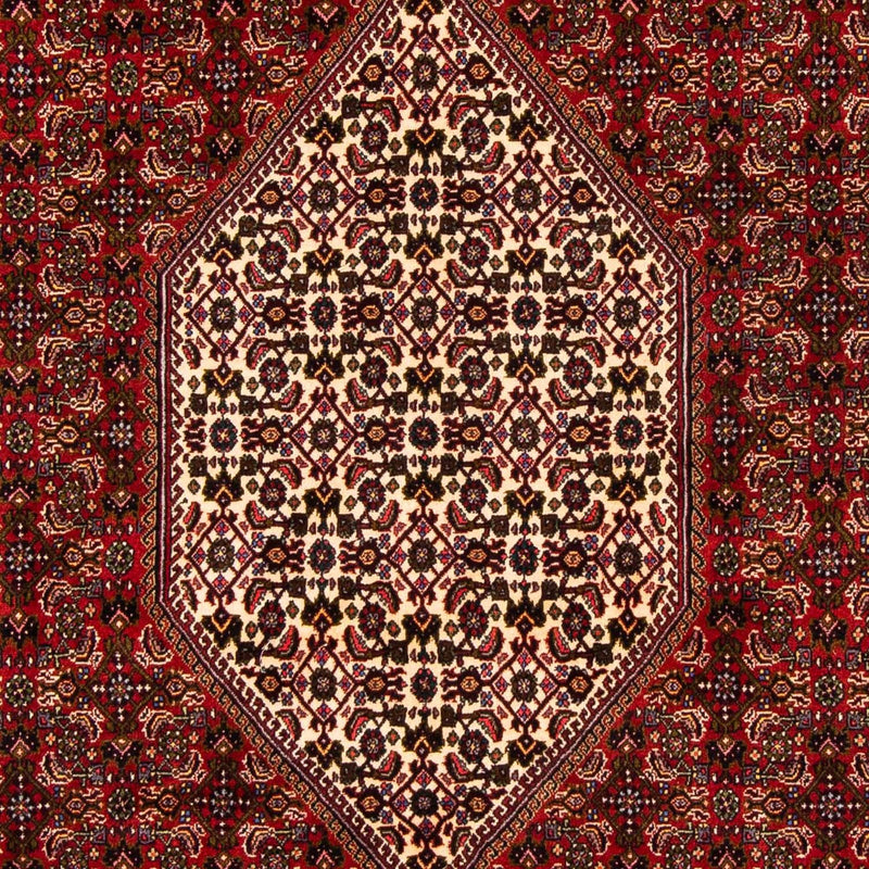 Perserteppich - Bidjar 263 x 164 cm