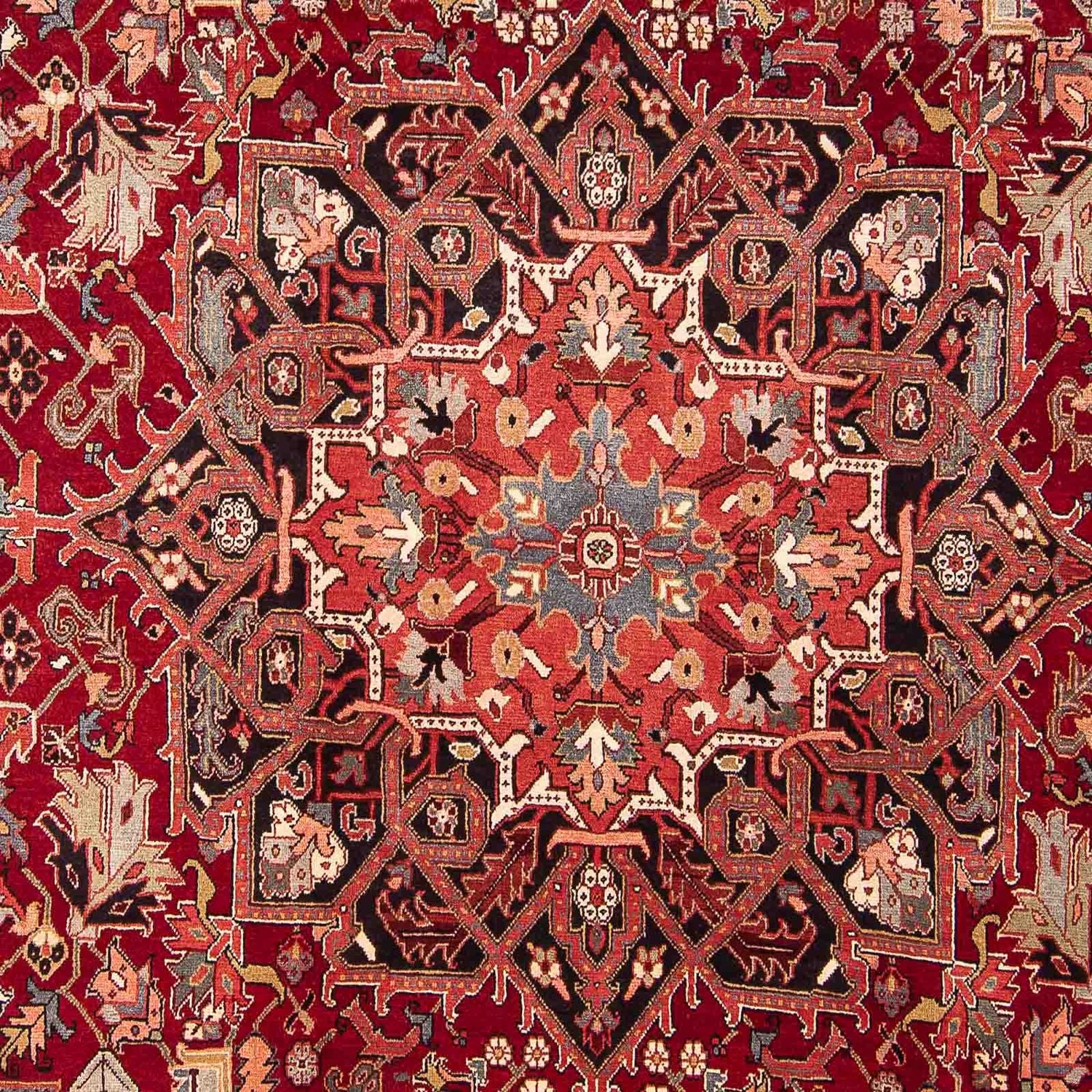 Perserteppich - Nomadic 334 x 265 cm