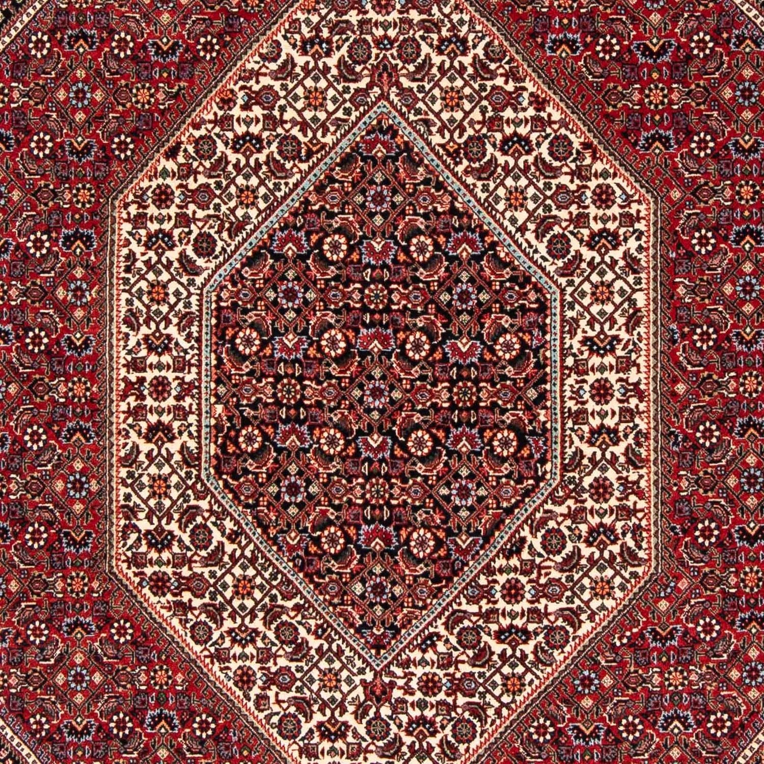 Perserteppich - Bidjar 237 x 173 cm