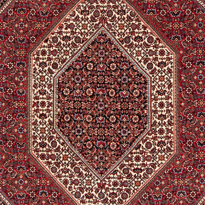 Perserteppich - Bidjar 237 x 173 cm