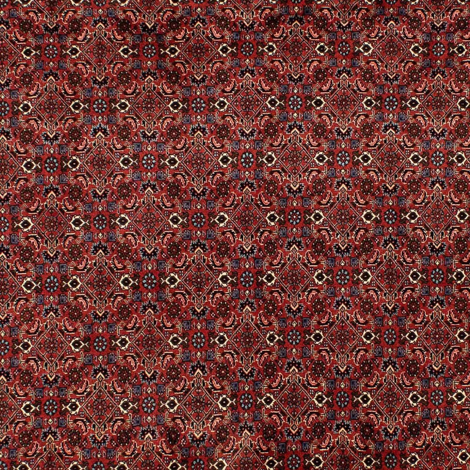 Perserteppich - Bidjar 284 x 200 cm