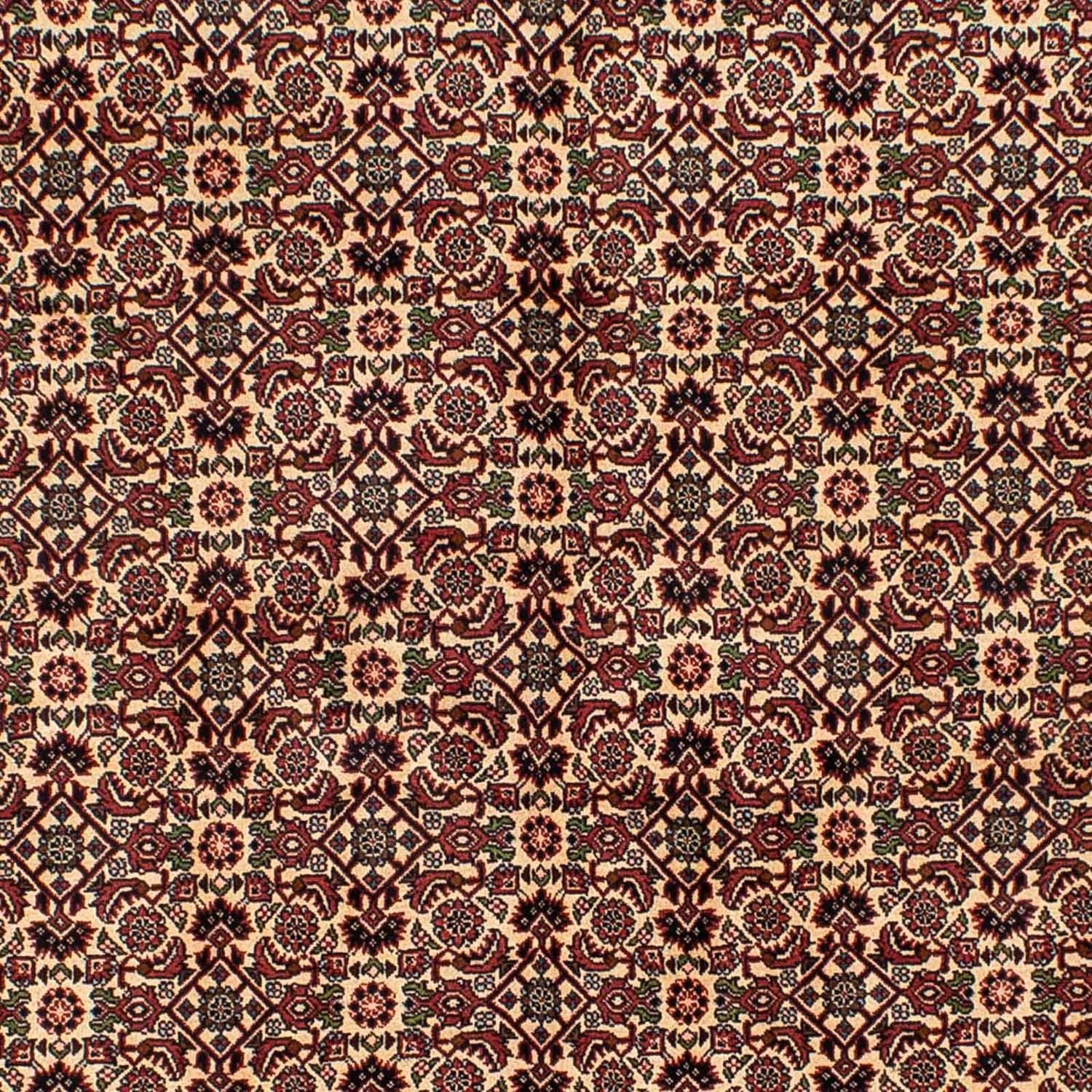 Perserteppich - Bidjar 249 x 172 cm