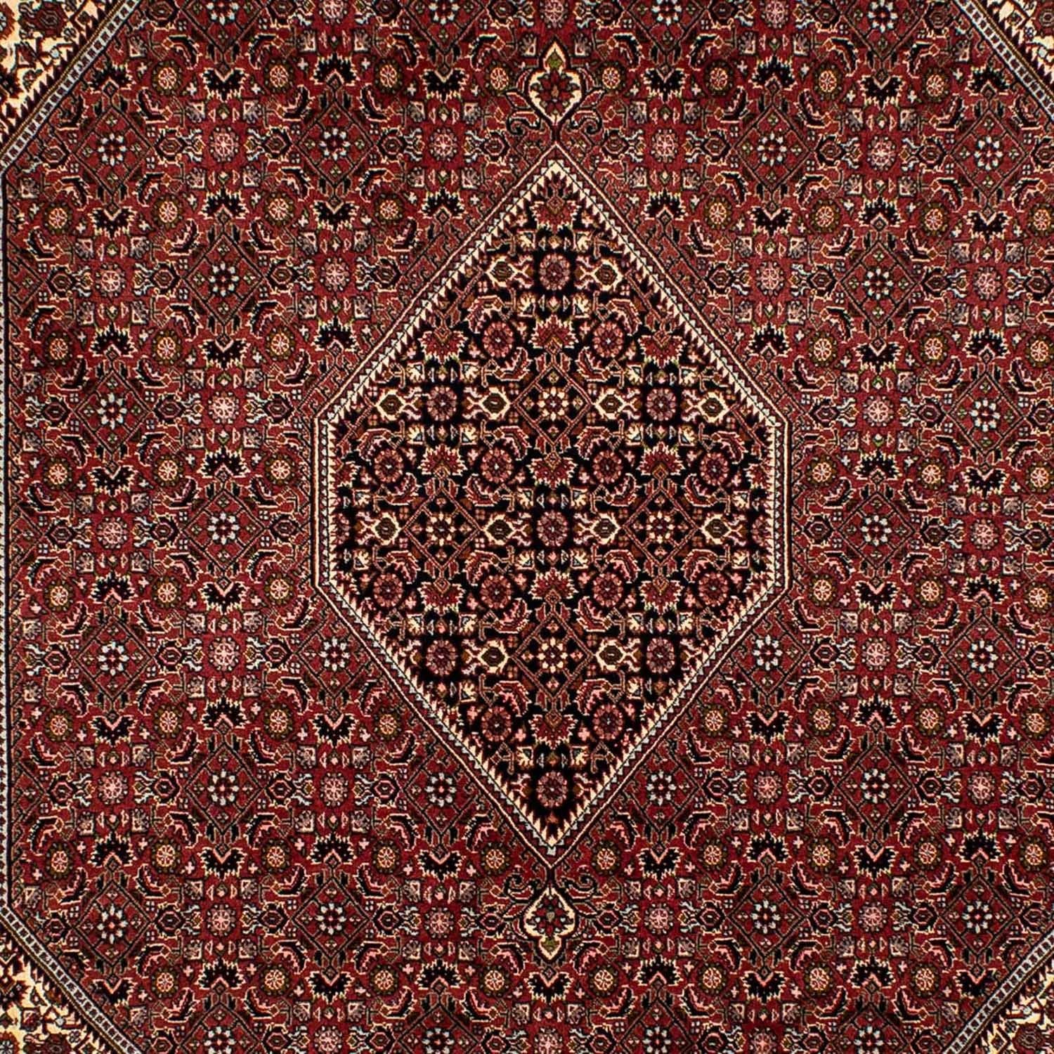 Perserteppich - Bidjar 293 x 198 cm
