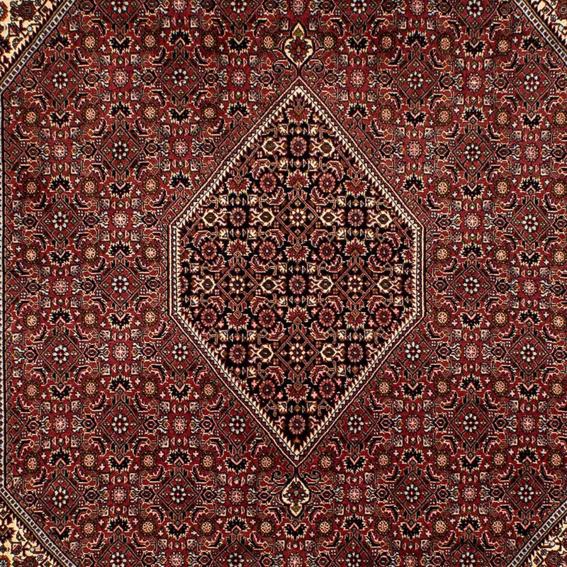 Perserteppich - Bidjar 293 x 198 cm
