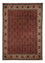 Perserteppich - Bidjar 275 x 196 cm