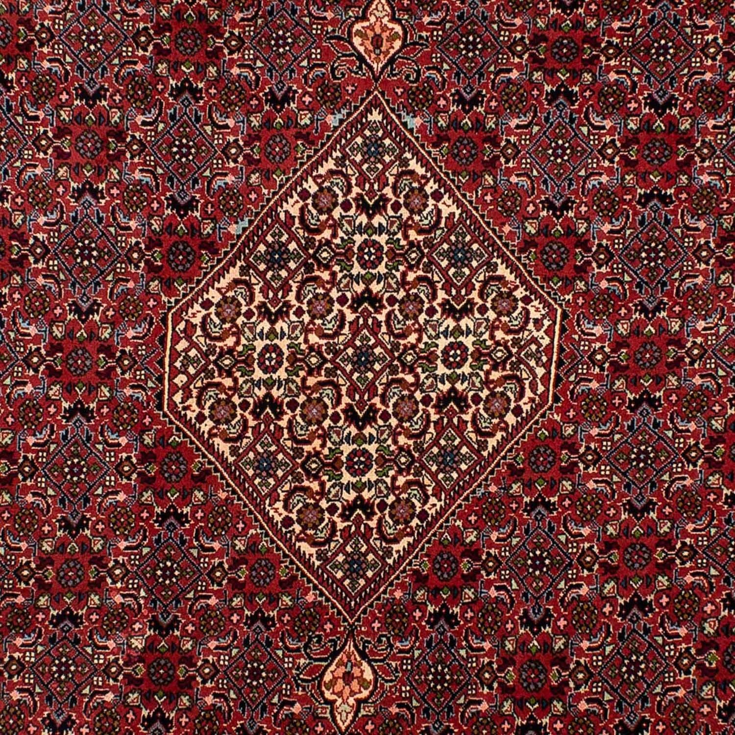Perserteppich - Bidjar 290 x 206 cm