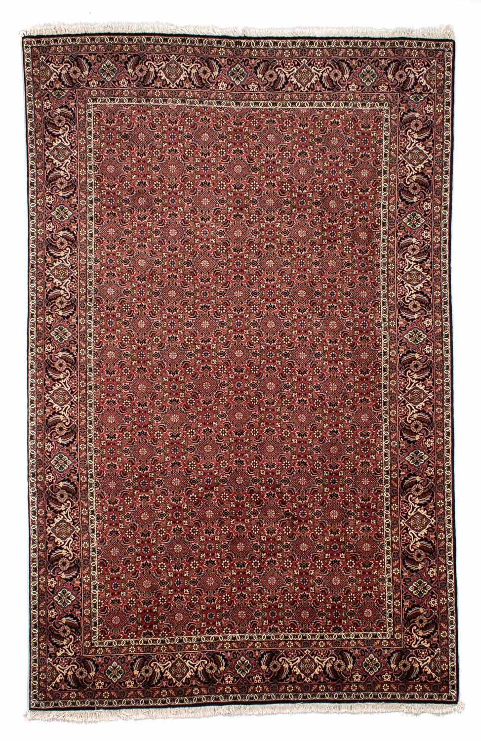 Perserteppich - Bidjar 310 x 196 cm