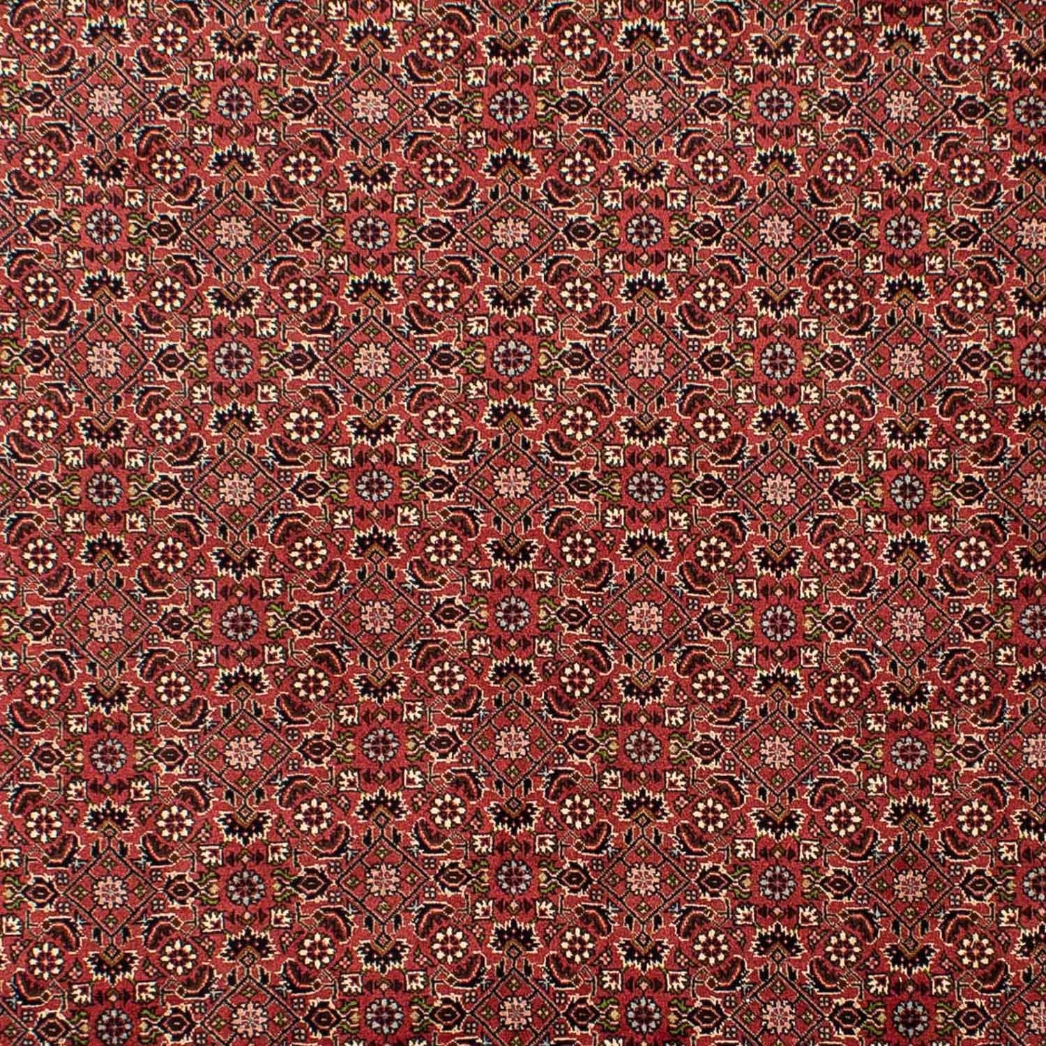 Perserteppich - Bidjar 310 x 196 cm
