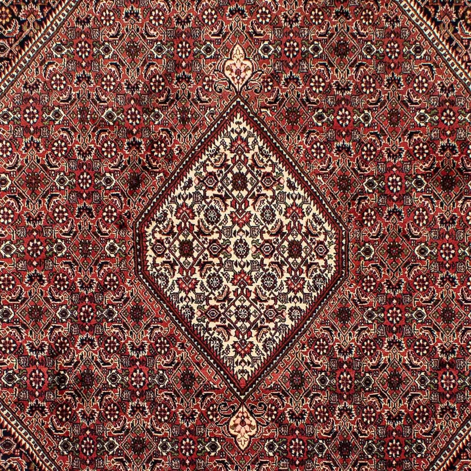 Perserteppich - Bidjar 292 x 200 cm