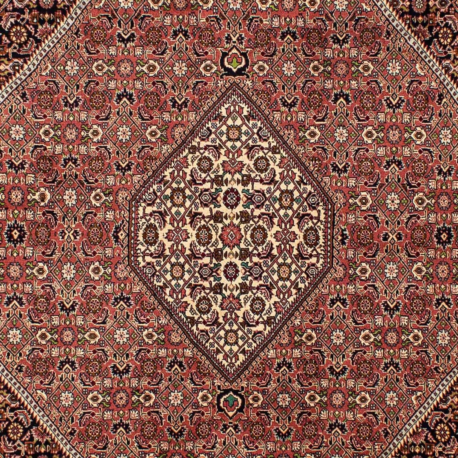 Perserteppich - Bidjar 290 x 200 cm