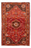 Perserteppich - Nomadic 255 x 162 cm