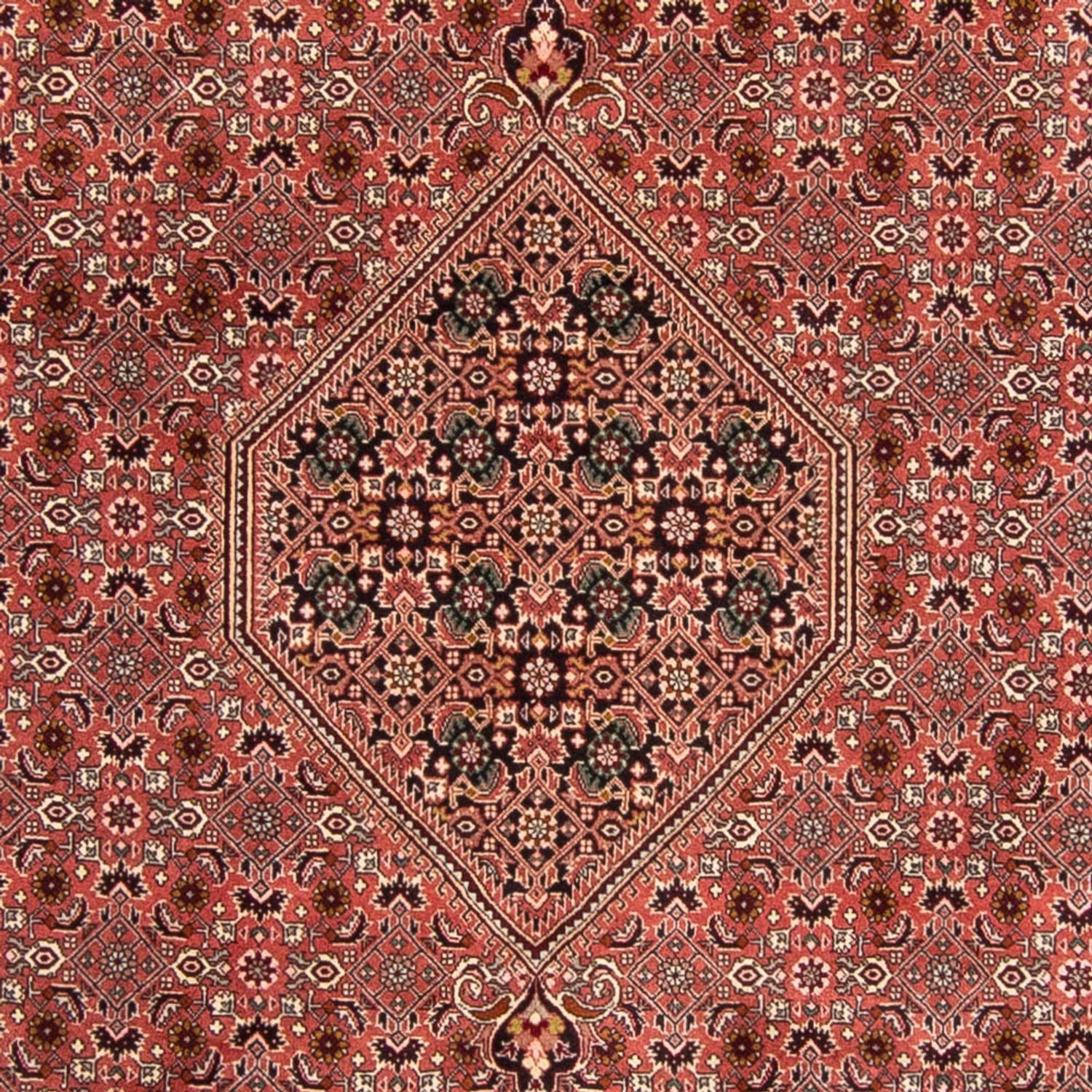 Perserteppich - Bidjar 340 x 248 cm