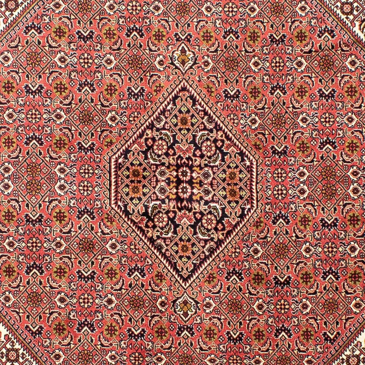Perserteppich - Bidjar 240 x 170 cm