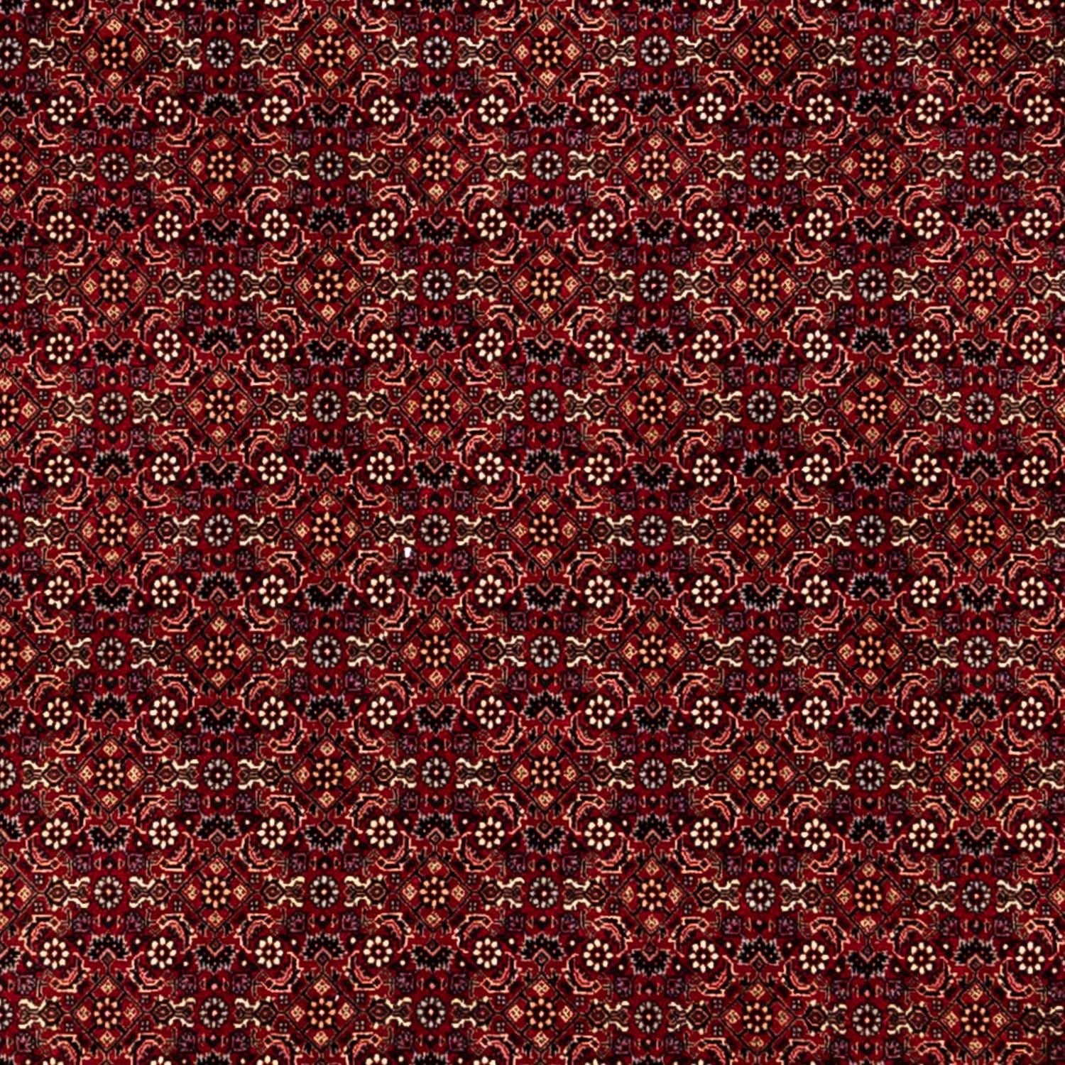 Perserteppich - Bidjar 350 x 250 cm - rot