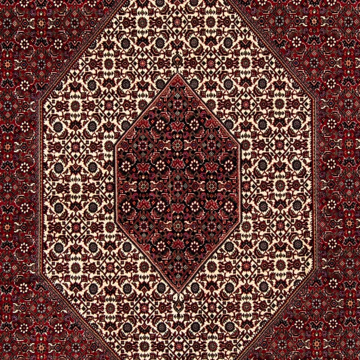 Perserteppich - Bidjar 257 x 204 cm